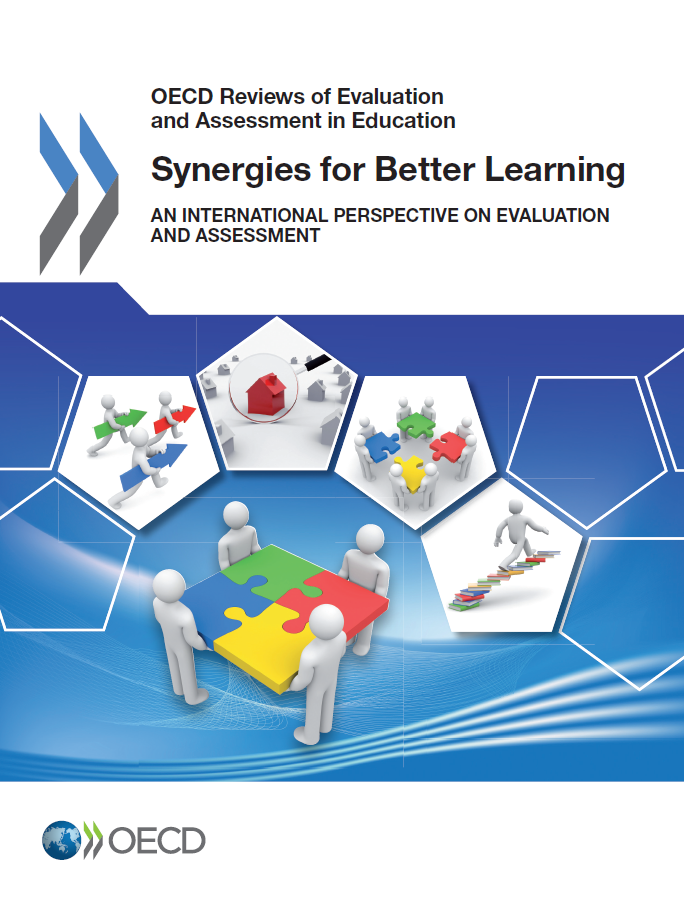 Copertina di Synergies for Better Learning